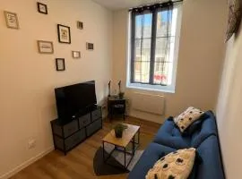 Appartement confortable, neuf en centre ville