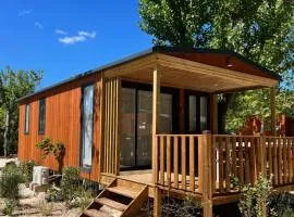 Best Holiday Port Grimaud