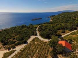 Holiday home in vineyard paradise Dingač Pelješac, Hotel in Potomje