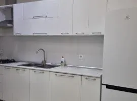 Apartment and Guesthouse for COP29 Baku