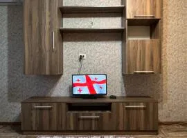 Apartment at station