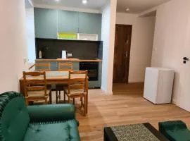 Apartamenty Dom Zielony