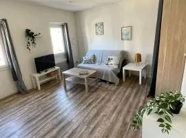 Grand Studio à 100m des plages