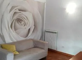 Mimì Home