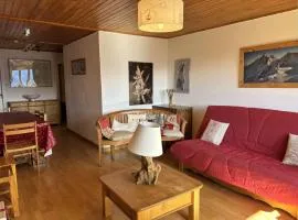 Spacieux appartement 8 pers, balcon sud, télésiège à 150m, animaux acceptés - Vieil Alpe - FR-1-405-37
