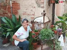Angolo Della cei