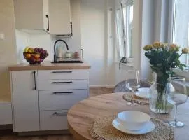 Apartament pod lasem