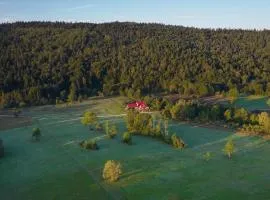Rzepedka