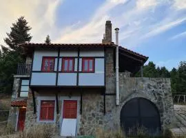 Kirkel - Stone villa in an Alpine environment
