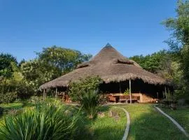 Yolitia Wellness