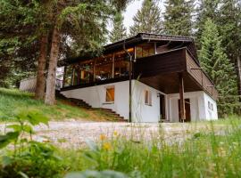 Lima Alpine Lodges - Almhaus Petra, βίλα σε Hintersauerwald