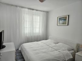 Victoriei 7，蒂米什瓦拉的自炊式住宿