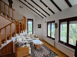 Villa Dilyanka Stokite