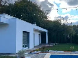 Pine Serenity Villa