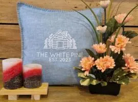 Whyte Pyne Transient House