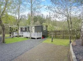Joseph's Hide - Uk43570