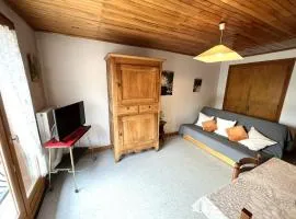 Appartement 60 m² à Autrans, confort & animaux acceptés - FR-1-737-85