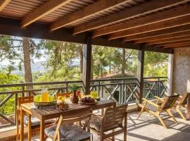 Platres Forest View Cottage