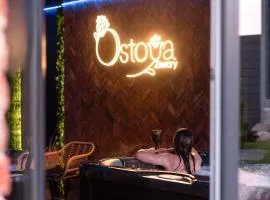 Ostoya Zawory -domki premium ,strefa relaksu, basen