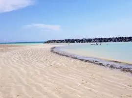 Stone's throw from beach and forest, stunning country walks