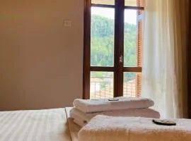 Forrest Guesthouse