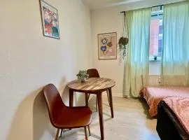 5 minute walk to LEGO house - n3 - studio room with private bathroom