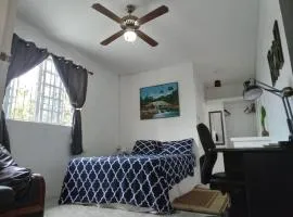 LADVILLE Apartment near Kingstown #2