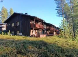 Kaisantien Kirsti, Vuokatti