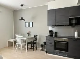 New Apartment HILLA near all the main city spots Public car parking