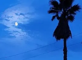 A little piece of Paradise!