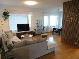 130m2 apartment with Sauna in Citycenter