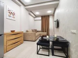 1 Bedroom Apartment on Amiryan street