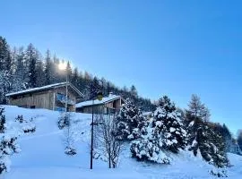 Splendide chalet 6 pièces, jacuzzi et sauna, proche pistes à La Plagne Montalbert - FR-1-755-24