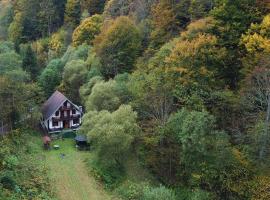 Casa de vacanta Satic Piatra Craiului La Doi viermi – hotel w mieście Satic