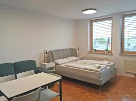Dunajska Apartment
