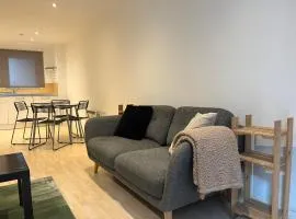 Cosy Apartment in City Centre