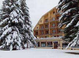 Apartamentos SN&Ouml; Edelweiss, hotel que aceita pets em Cerler