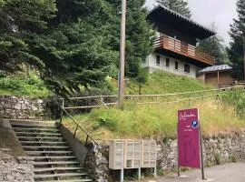 Grand Chalet pour 10 avec vue magnifique sur les pistes et les montagnes à 10mn à pied des pistes