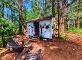 The Stabbin Cabin on Grant Island, Brantingham Lake - HotTub, Boat, Pet Friendly