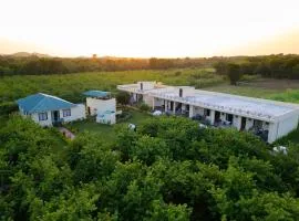 Baaghini, Homestay