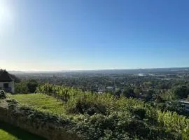 Wohlfühl-Apartment Elbtal