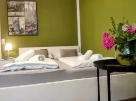 Zentrale Apartment in der Stadt Freiburg