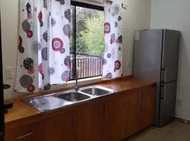 Apartamento Hohenau Centro