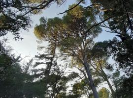 sur les pas des templiers, hôtel à Trouillas