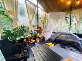 M&acirc;y Glamping, lều trại sang trọng ở Xu&acirc;n Thọ
