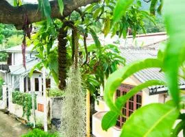 Diamond shine hostal and bunk beds