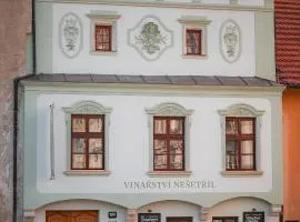 Renesanční vinařský dům v historickém centru Znojma