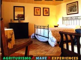 Agriturismo La Stornara