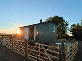 The Romney by Bloom Stays