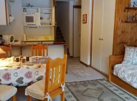 Studio lumineux avec balcon sud, plein cœur de La Tania, skis aux pieds - FR-1-513-43